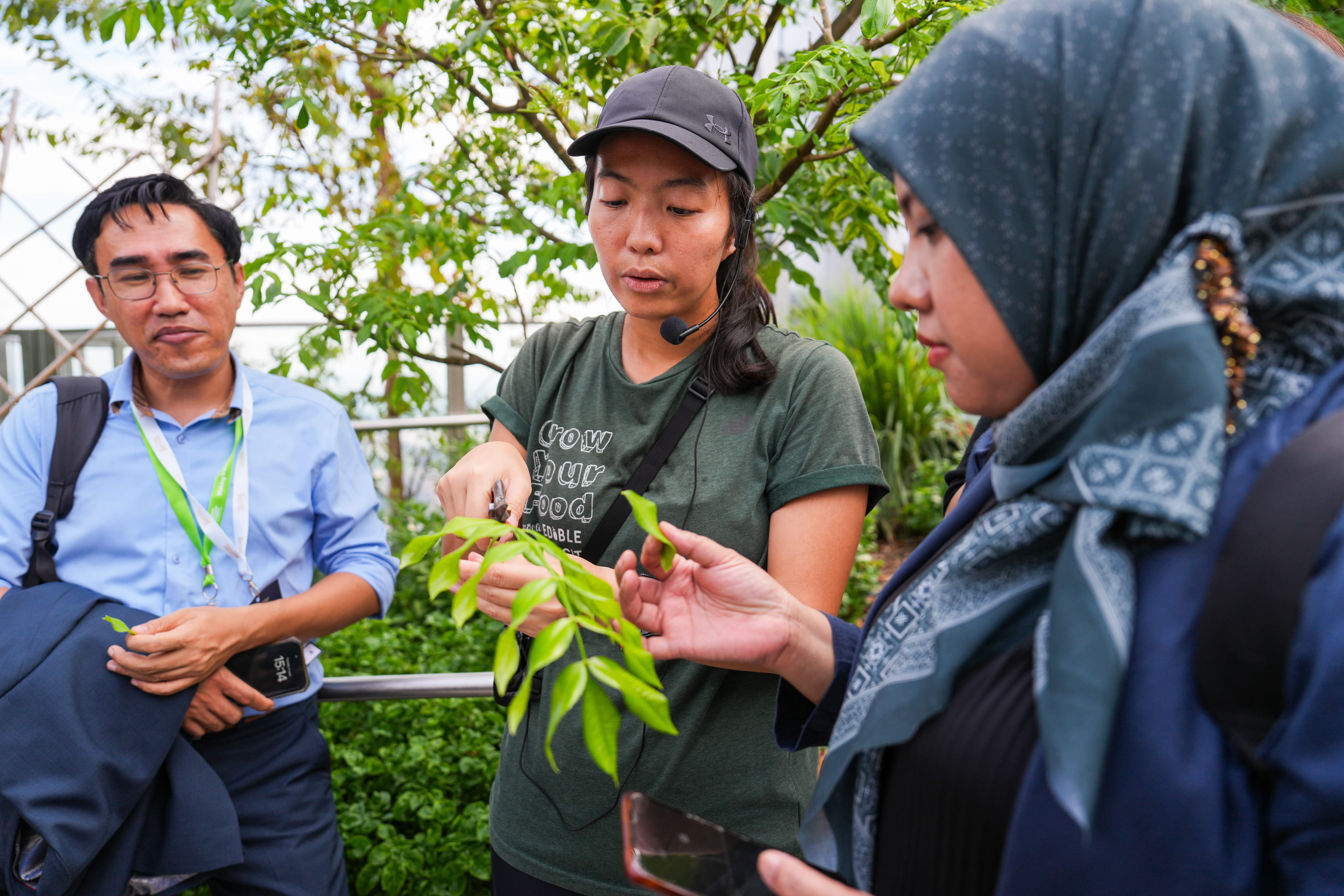 Journalists learning about the plants in the CapitaSpring roof garden